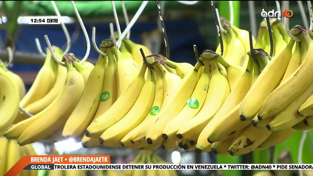 La relación entre la salud mental y la salud ginecológica