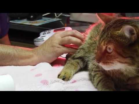 Clínica de Fisioterapia en Gata