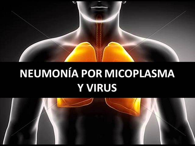 Cómo prevenir y tratar las infecciones por micoplasma