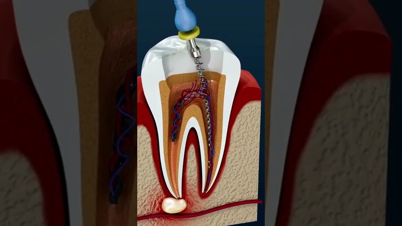 Dentista en  Quintanavides