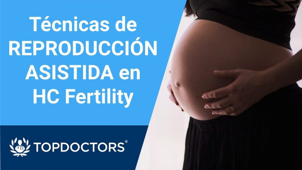 Todo sobre las técnicas de reproducción asistida