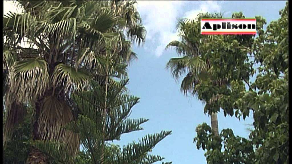 Centro-de-salud-de-Salzadella - i-Healthcare Centro de salud de Salzadella