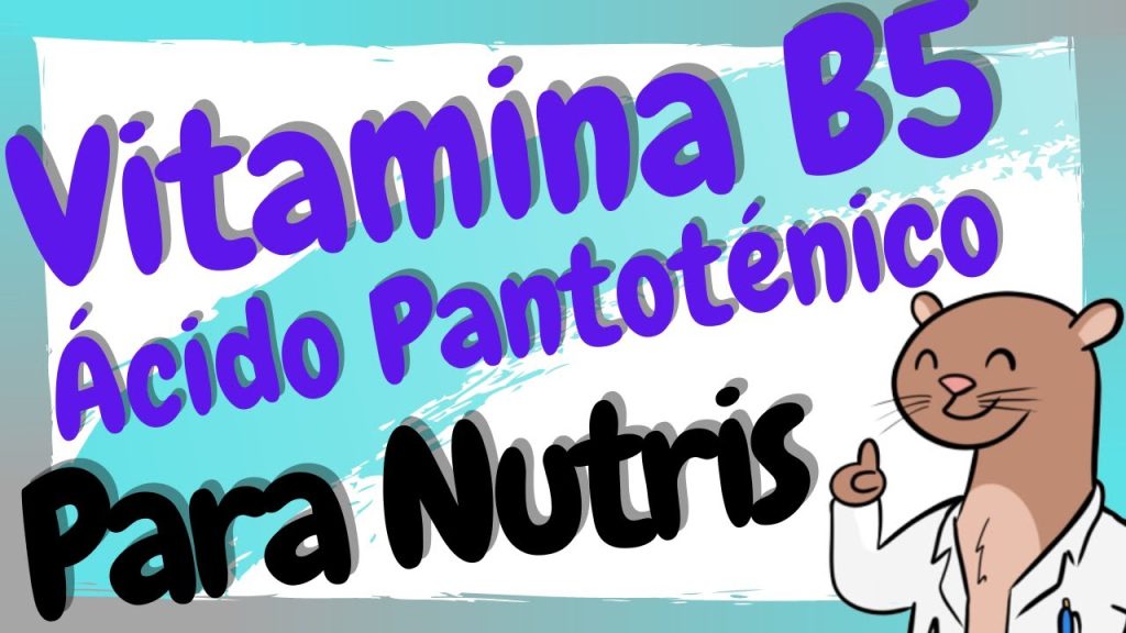 La importancia del ácido pantoténico para la salud ginecológica