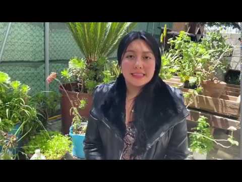 Estrategias para promover el bienestar en la familia