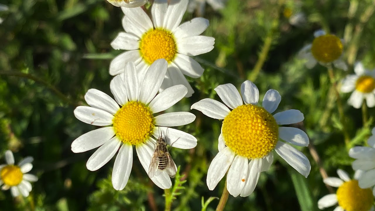 Clínica de Fisioterapia en Hinojosas de Calatrava