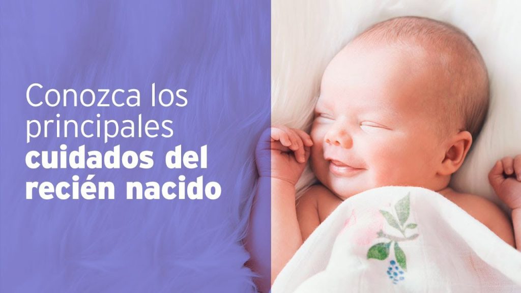 pautas para el cuidado de Cómo alimentar a un bebé durante el primer año de vida