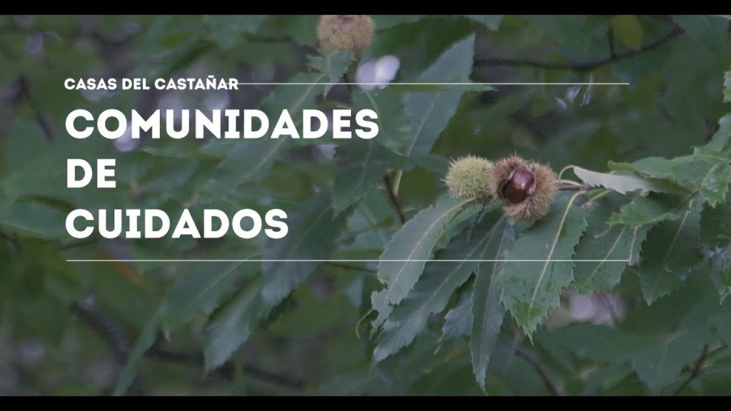 Dentista en  Casas del Castañar