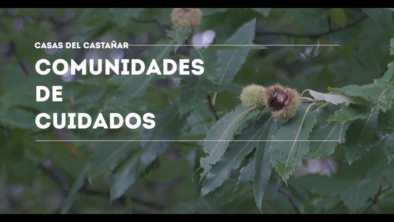 Dentista en  Casas del Castañar